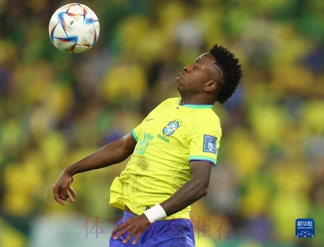 最新世界杯阿根廷维尼修斯比赛解读权威解读